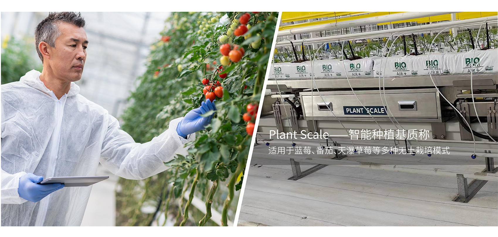 最新电子游戏平台