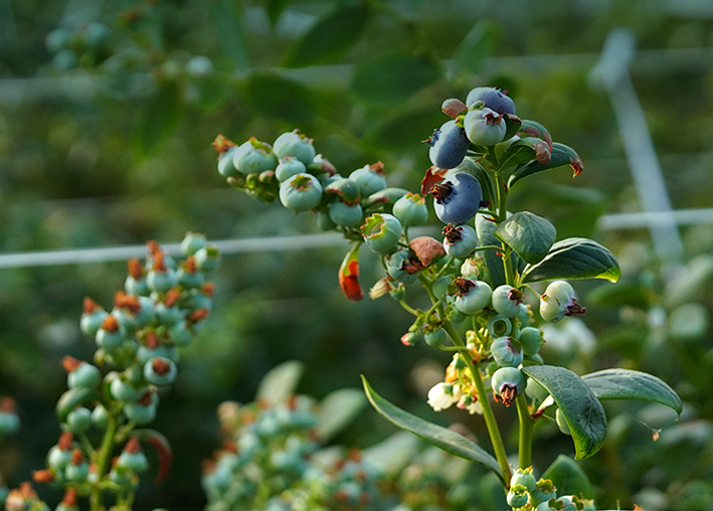 成为博云用户, 探索更多解决方案