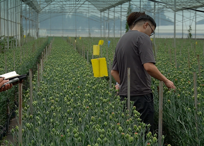 成为博云用户, 探索更多解决方案