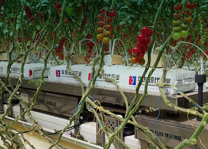 成为博云用户, 探索更多解决方案