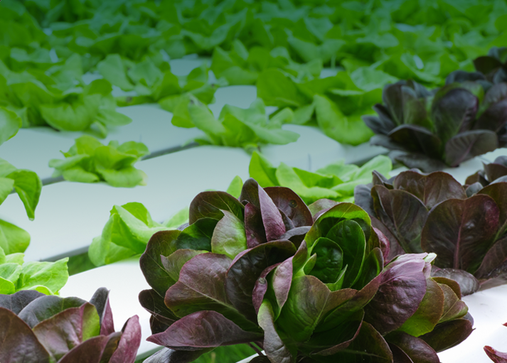 成为博云用户, 探索更多解决方案