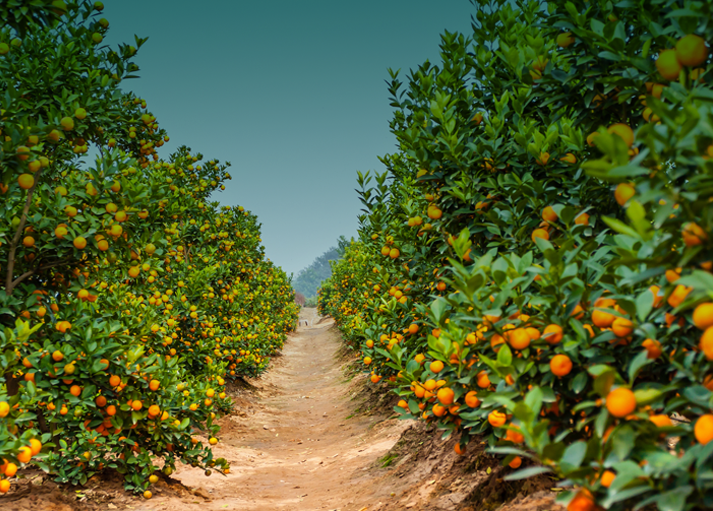 成为博云用户, 探索更多解决方案
