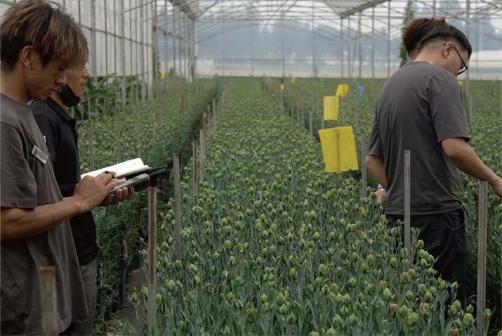 云南泸西盛百立农业科技有限公司