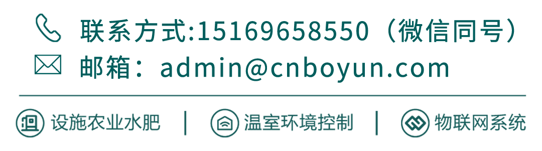 最新电子游戏平台