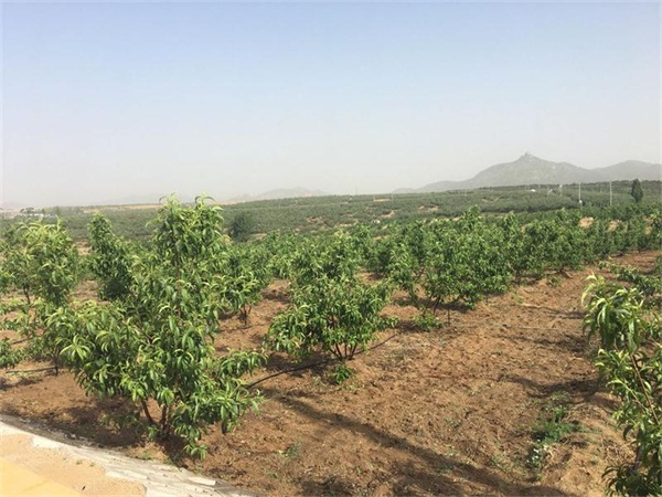 1499397997233417.jpg 微信图片_20170707112033(1).jpg