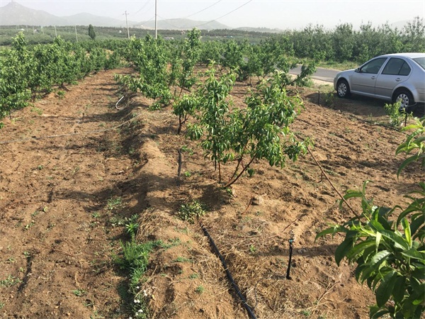 1499398021893826.jpg 微信图片_20170707112037.jpg