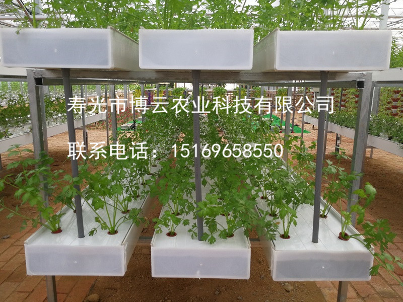 1507601560408735.jpg 无土栽培工程之深液流(DFT)水培.jpg
