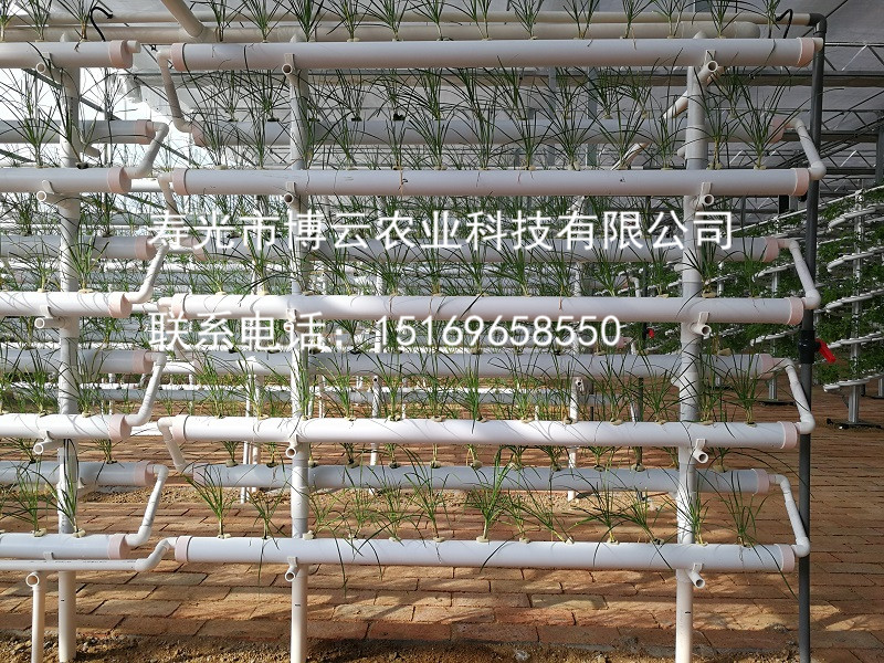 1507601671952934.jpg 无土栽培之圆管错层水培.jpg