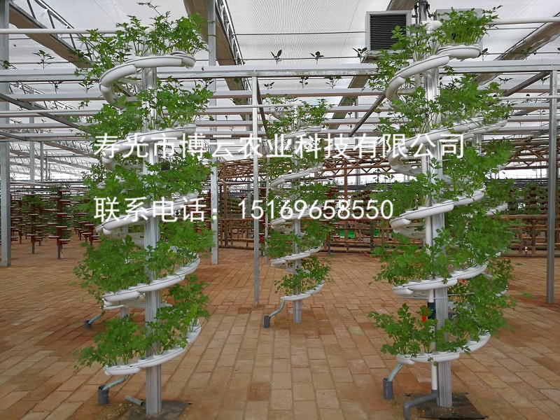 1507601709797968.jpg 无土栽培工程之艺术螺旋水培项目 .jpg