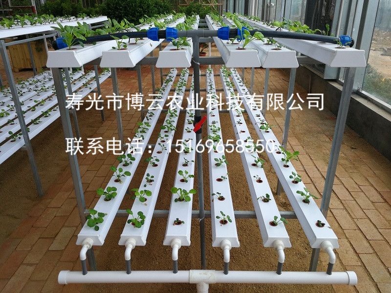 1507601757394903.jpg 无土栽培之阳台模式水培.jpg