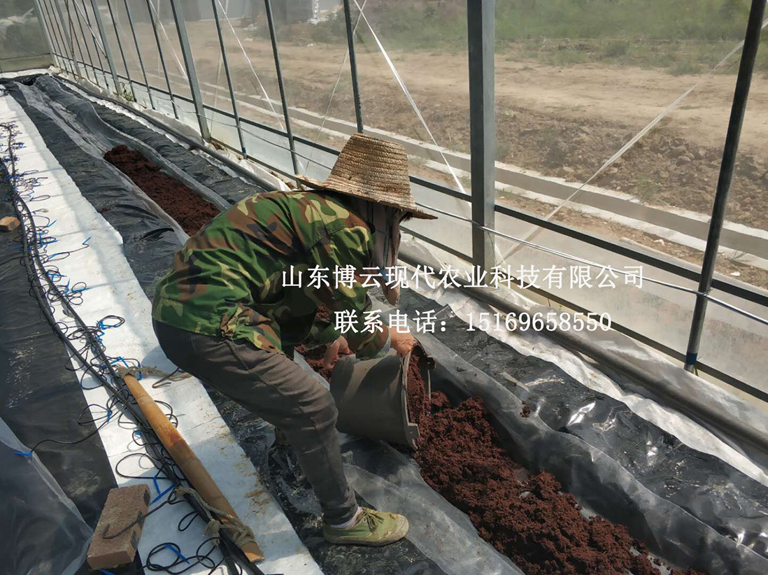 1536915118933410.jpg 843342985676294635.jpg