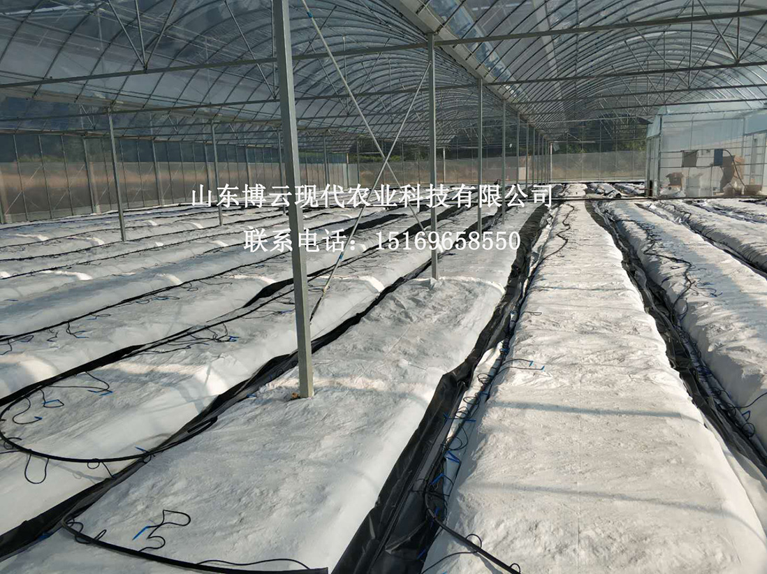 1536915135864360.jpg 515512702112218149.jpg