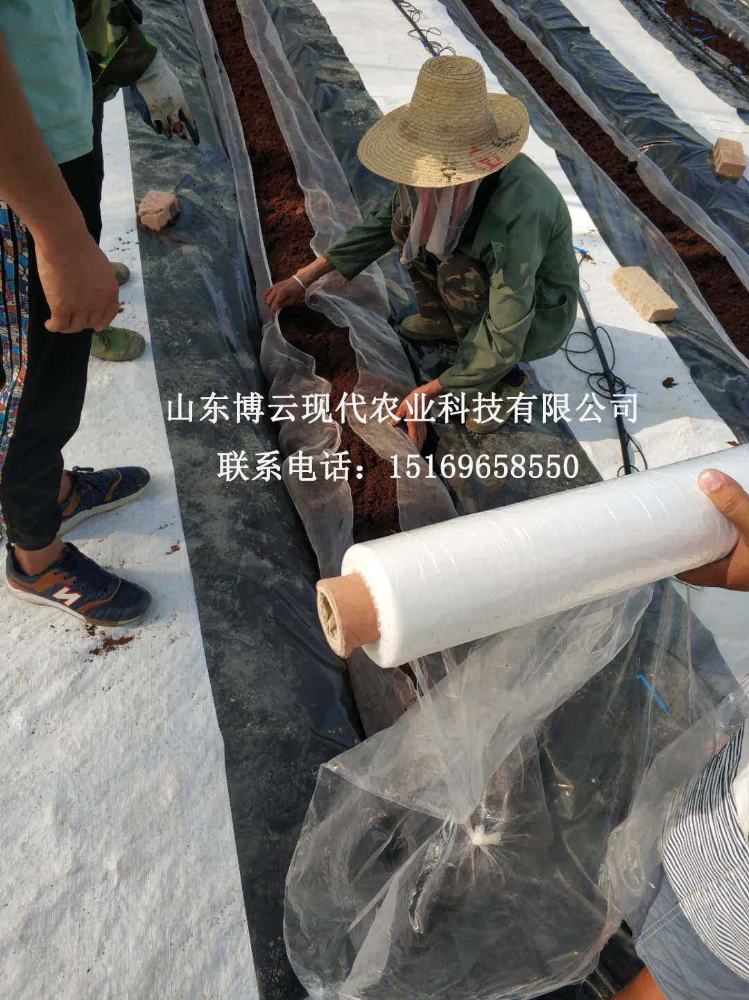 1536916443549301.jpg 95280650802552437.jpg