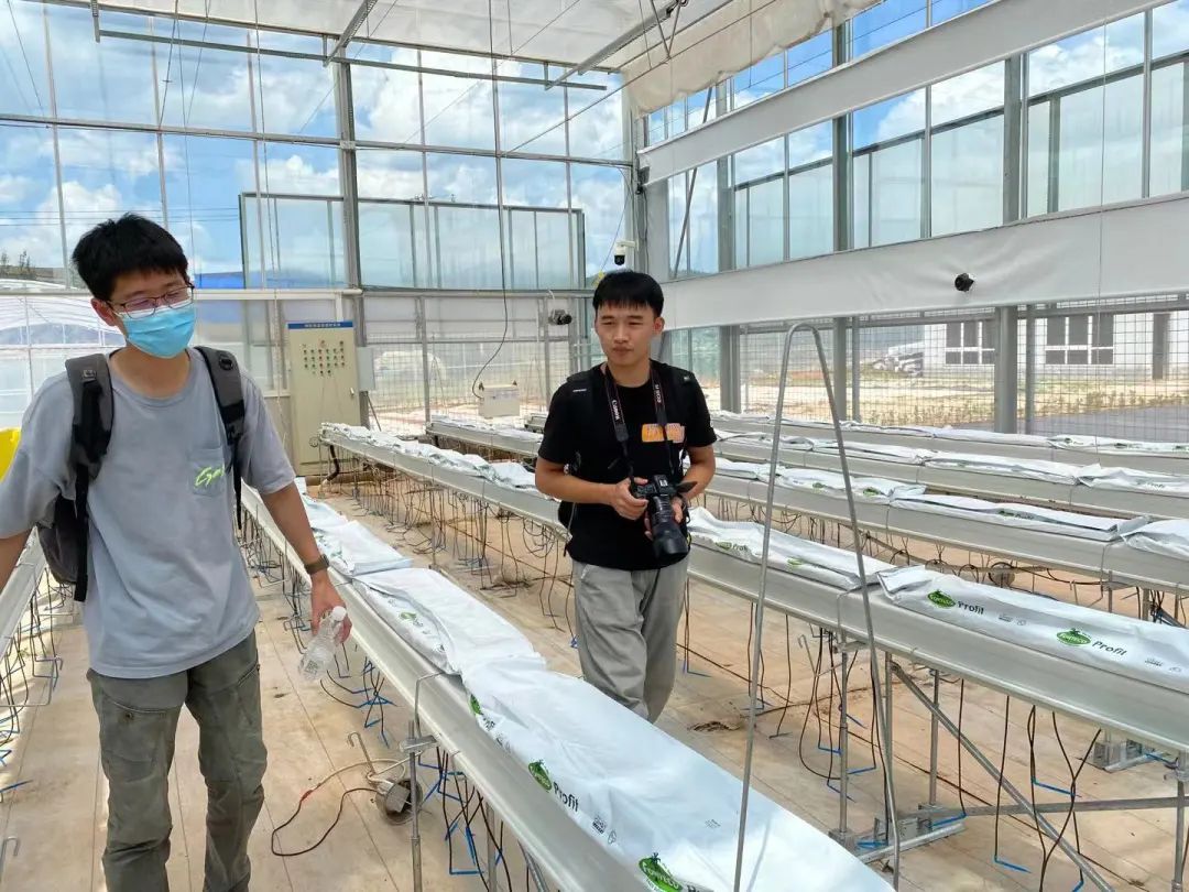 水肥一体化设备 水肥一体化设备