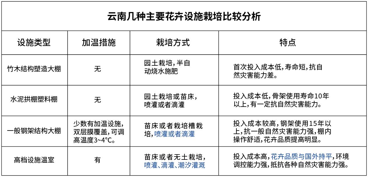 花卉水肥一体化.jpg