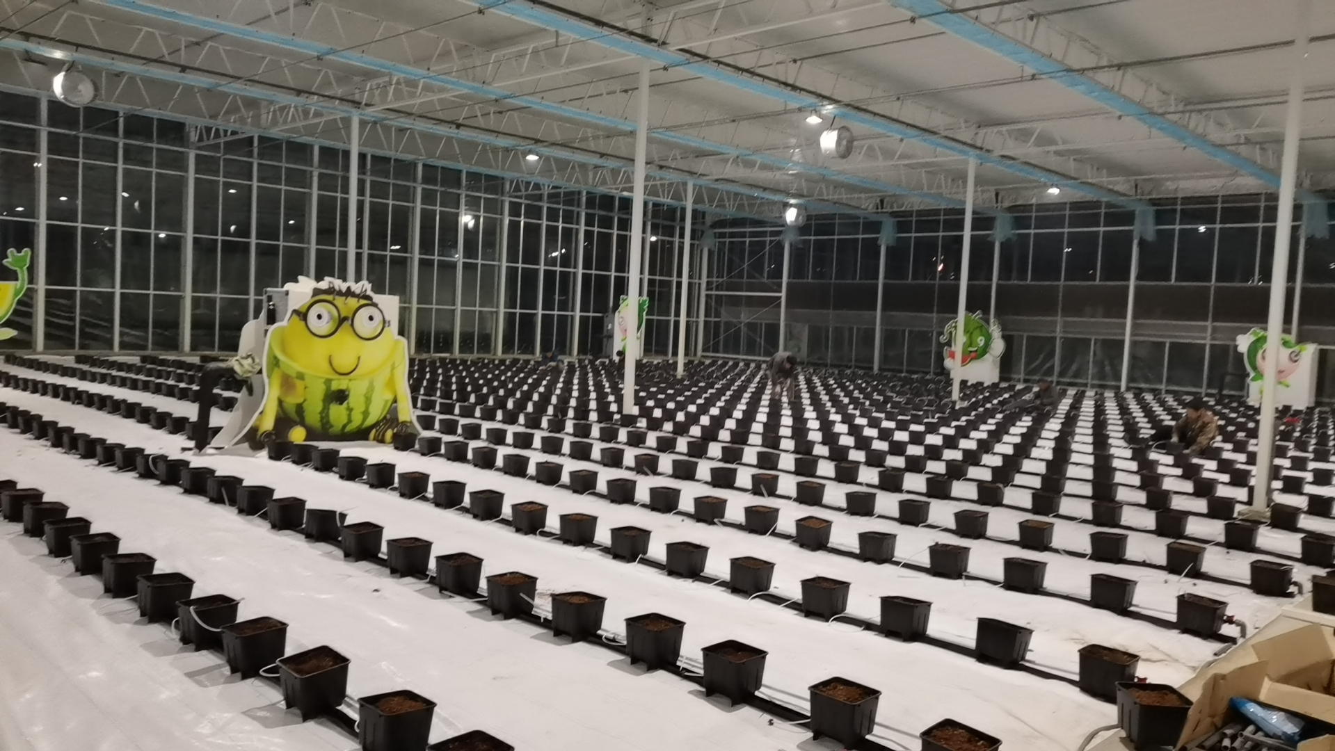 1688436955647753.jpg 微信图片_20230427130250.jpg