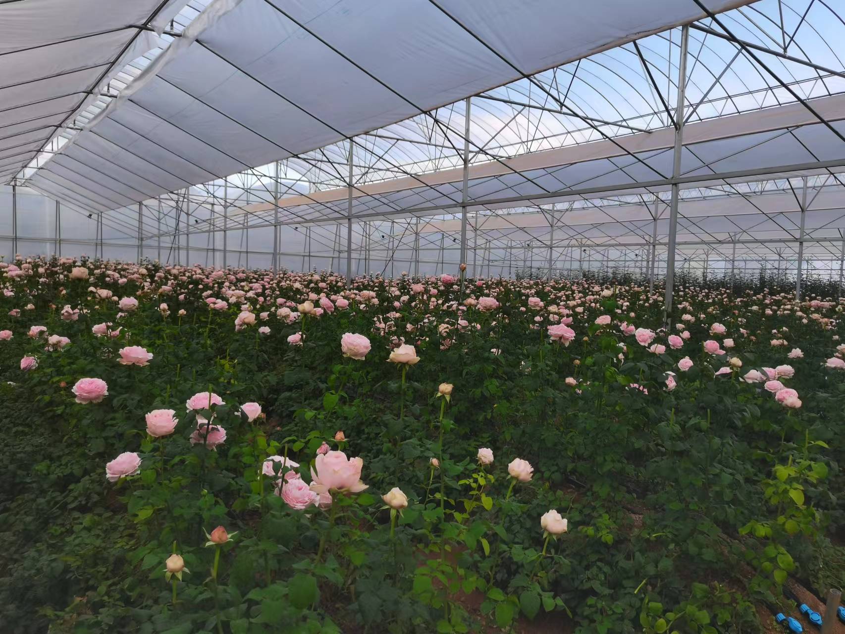 1690246947165865.jpg 微信图片_20230722150023.jpg