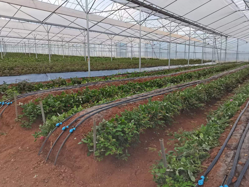 1690247065803356.png 微信图片_20230722161732.png