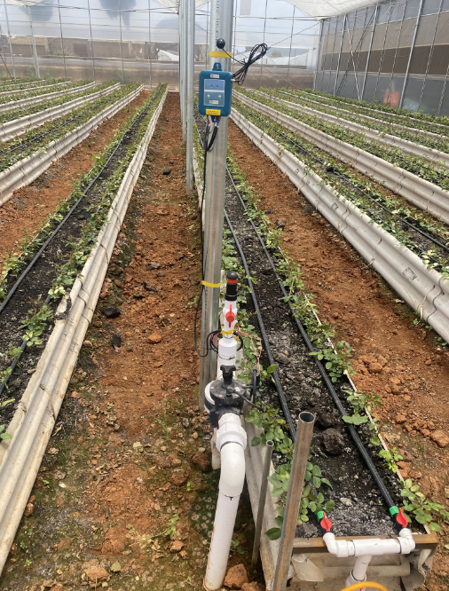 1690247086230726.png 1.png